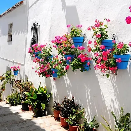 Nogalera * Torremolinos