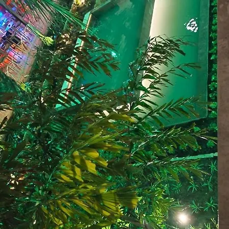 Nogalera トレモリノス
